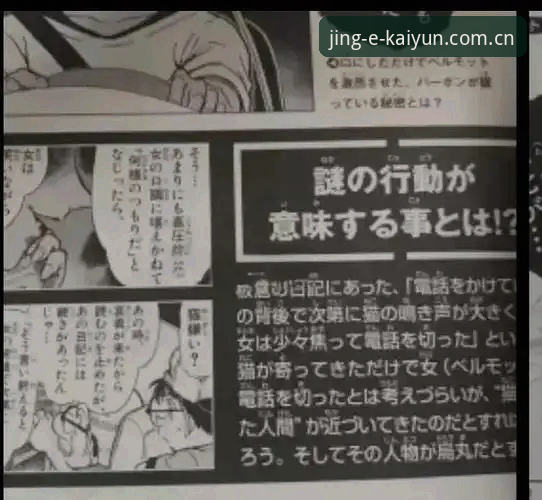 一位德迷的深夜复盘：施洛特贝克伤退的48小时，我在KAIYUN主页上看到了什么